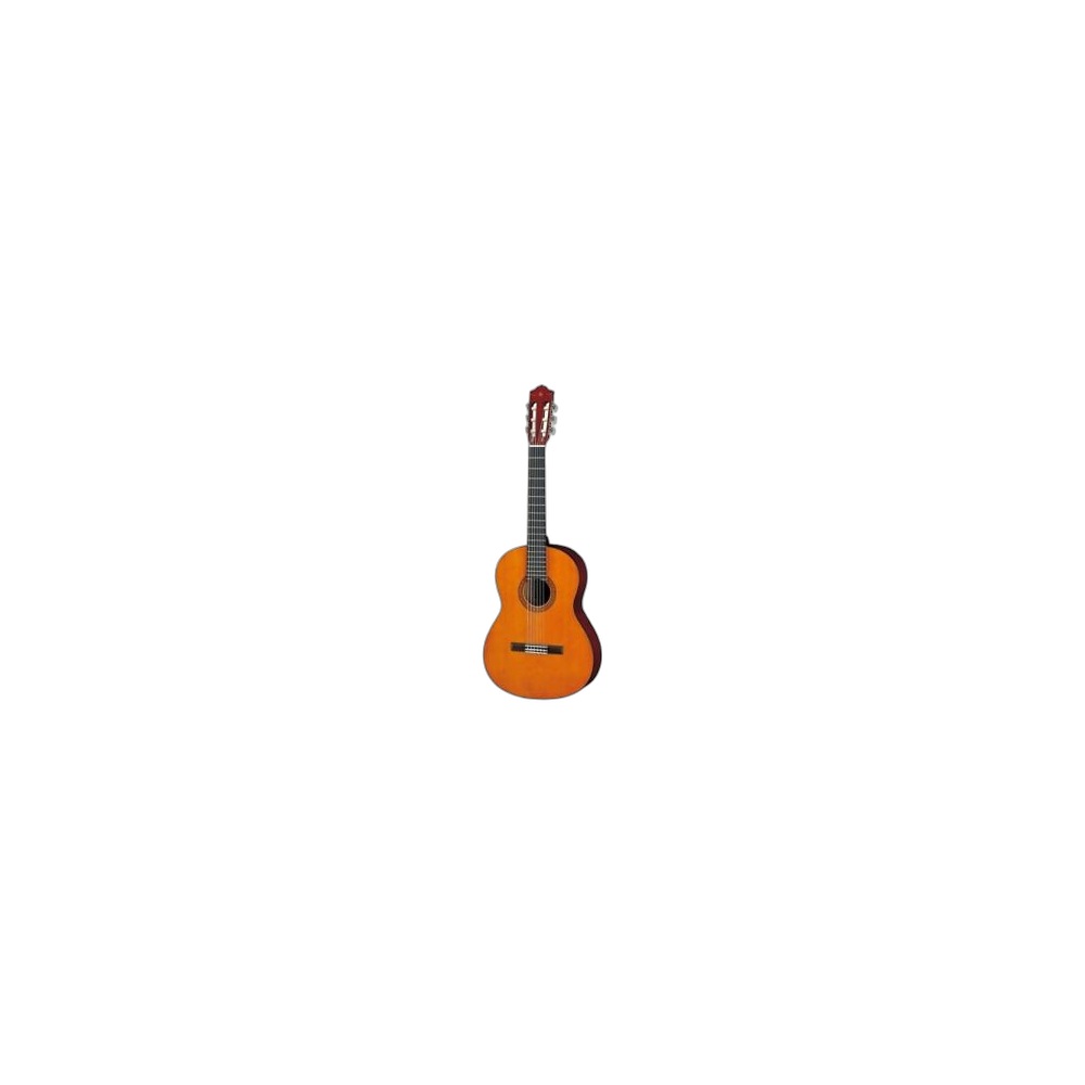 Guitarra Acústica Hybrid, Gay4010
