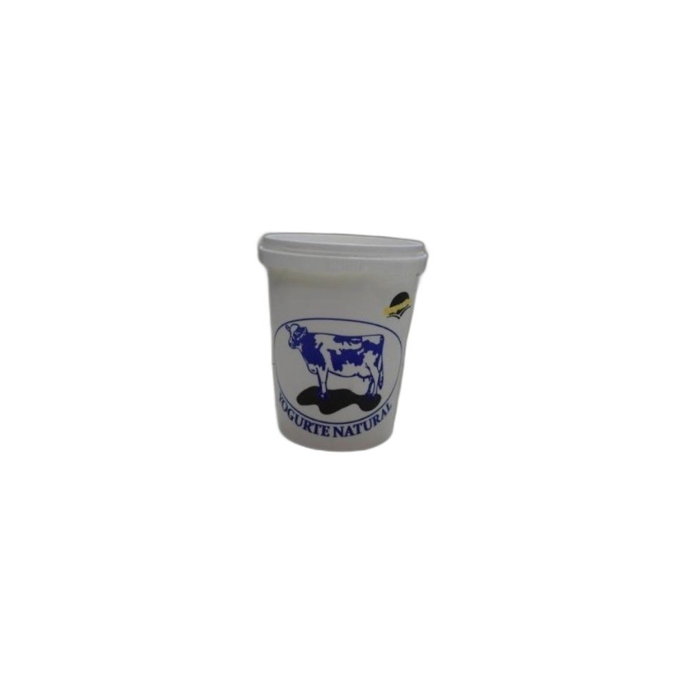 Iogurte Indeco 500ml Mix-Natural