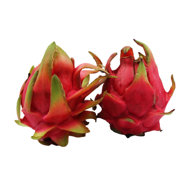 Dragon Fruit Tigela