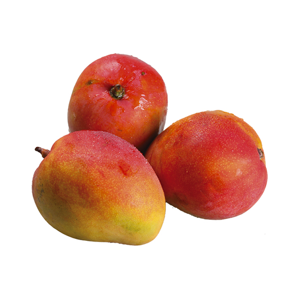 Mango Sa
