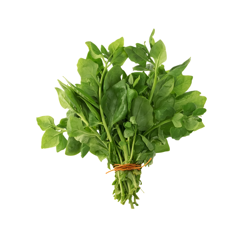 Espinafre Unit