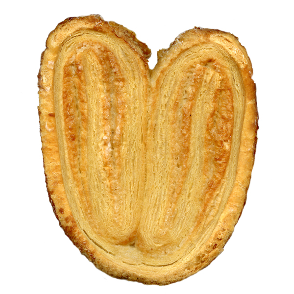 Palmier P/Kg
