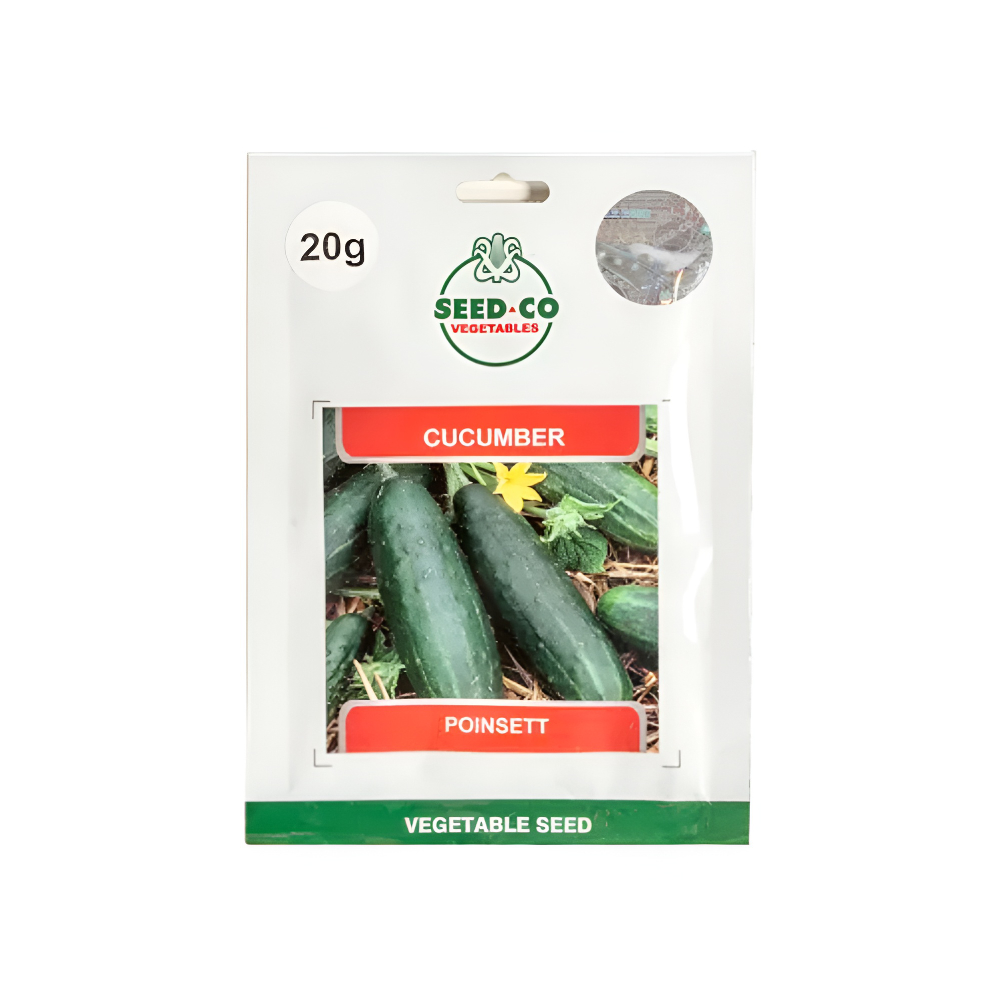 Seed Co Pepino Ashley 10g