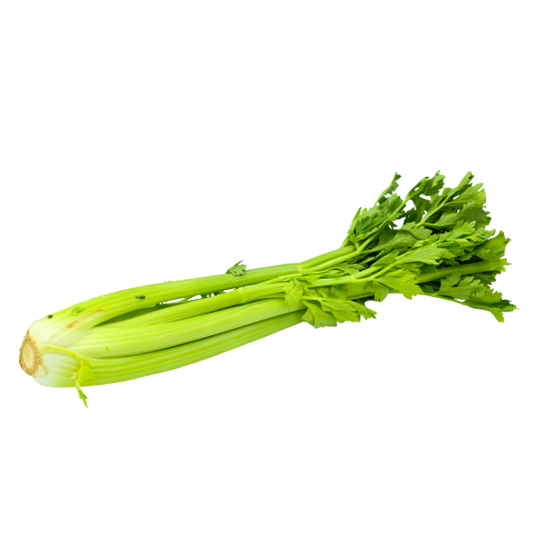 Celery Sa Unit