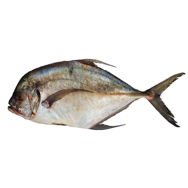 Peixe Chereua Kg